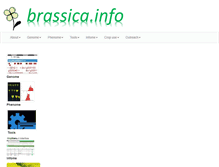Tablet Screenshot of brassica.info